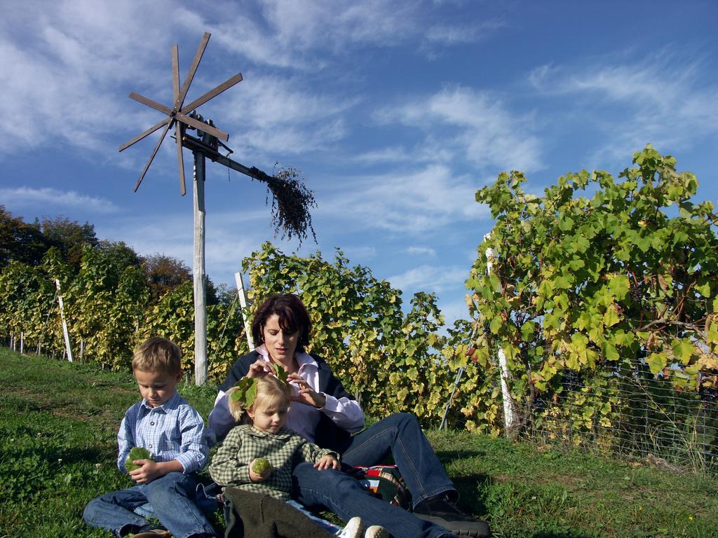 Weingut-Gästehaus Birnstingl Gamlitz Exterior foto